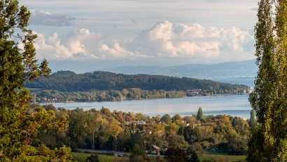 Blick auf Fluss und Wald mit Wolken und Bergen im Hintergrund